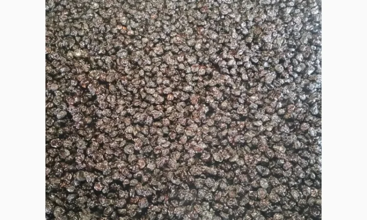 Пропоную чорнослив з кісточкою сушений на дровах. Урожай 2024. Слива черкуша - фото № 2