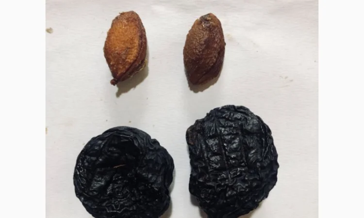 Продам вяленый чернослив - фото № 2