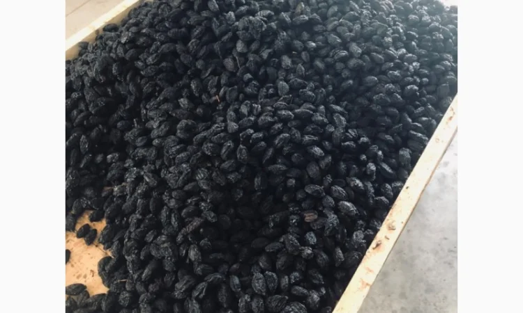 Продам вяленый чернослив - фото № 3