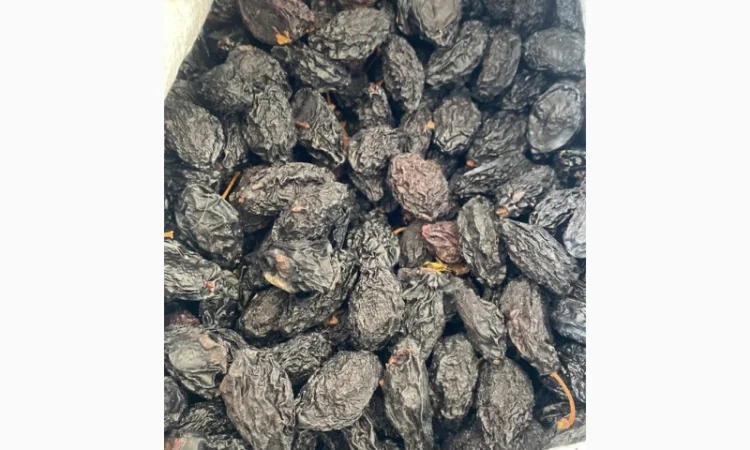 Слива Українська з/к кг - фото № 1