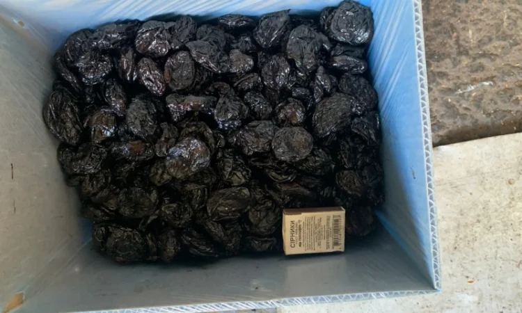 Пропонується чорнослив без кісточки - фото № 1