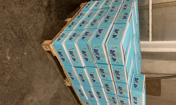 Пропонується чорнослив без кісточки - фото № 2