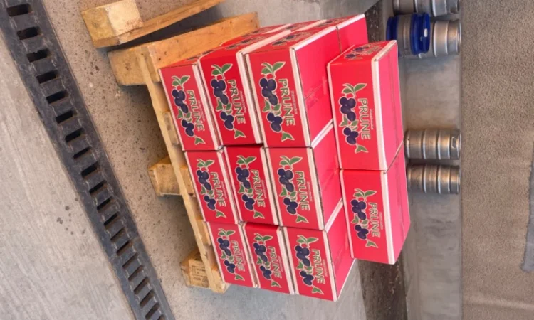 Продам чорнослив - фото № 1