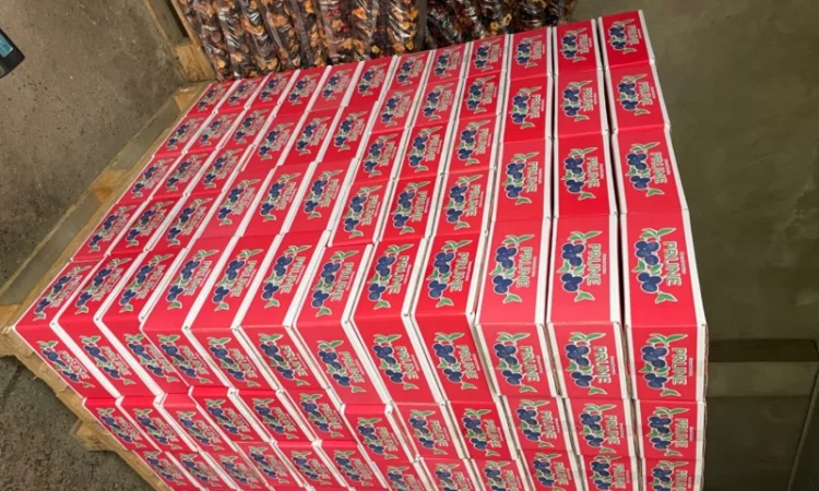 Продам чорнослив - фото № 2