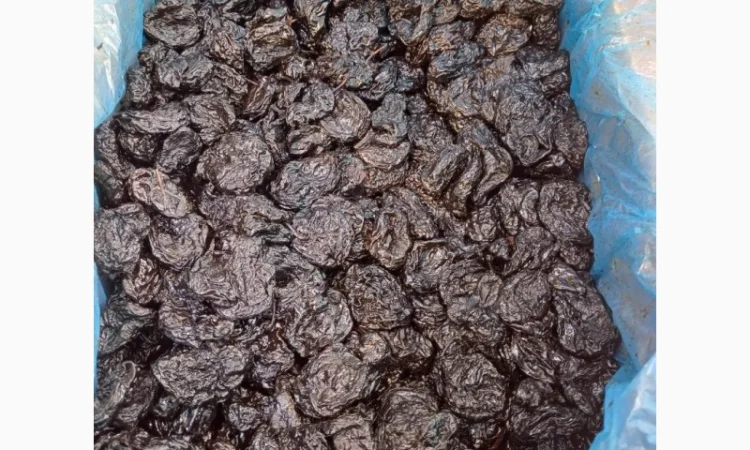 Продам ОПТ (від 3х тонн) Чернослив сорт Стенлей (Молдова) - фото № 1