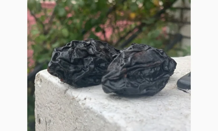 Продам чорнослив без диму натуральний - фото № 1