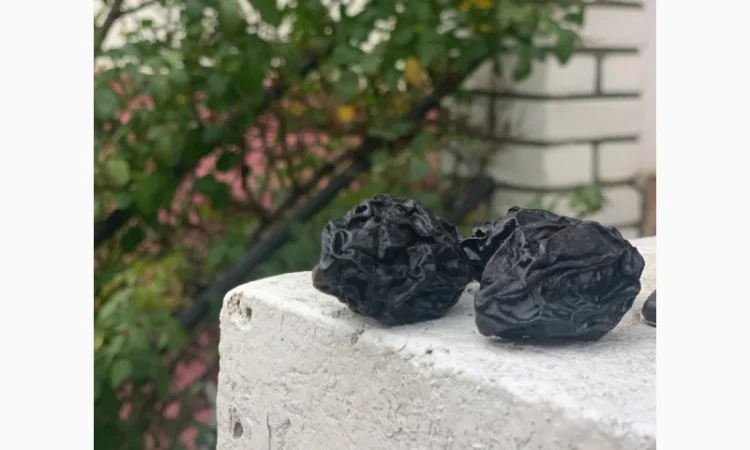 Продам чорнослив без диму натуральний - фото № 2