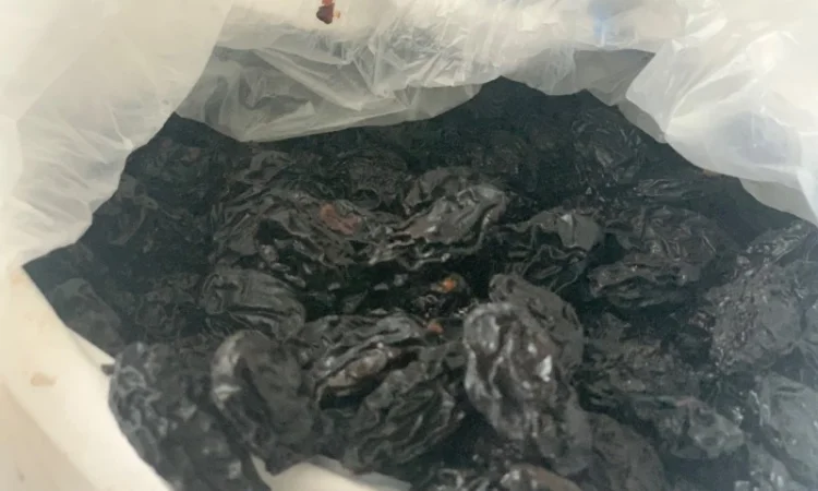 Продам чорнослив без диму натуральний - фото № 4