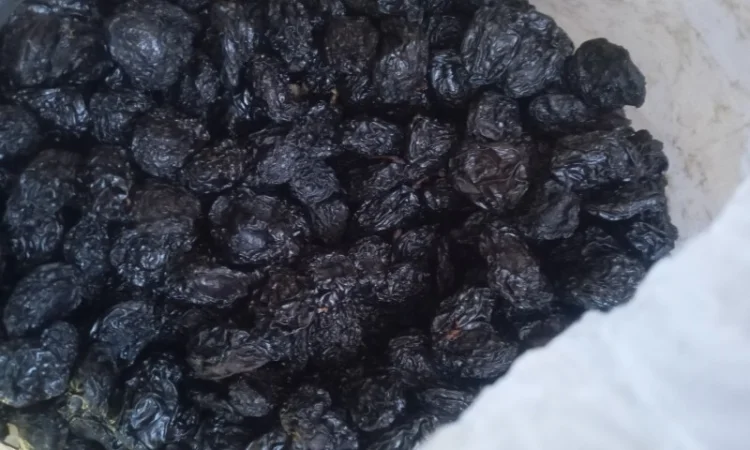Продам чорнослив з кісткою - фото № 1