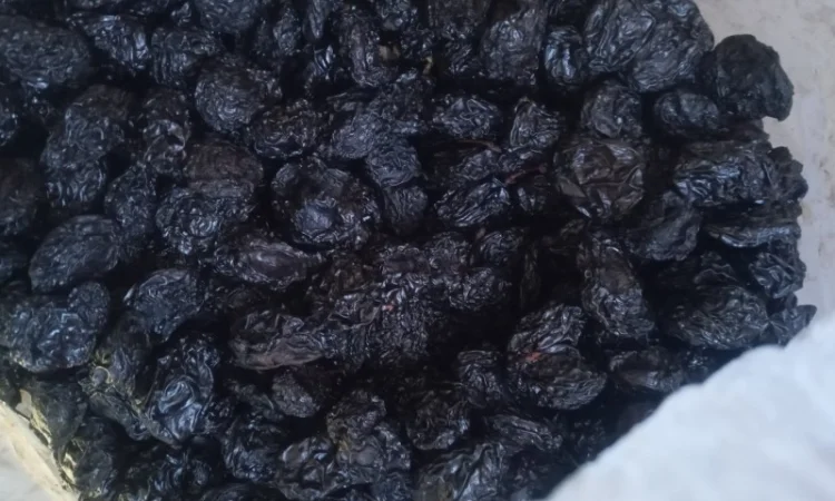 Продам чорнослив з кісткою - фото № 2