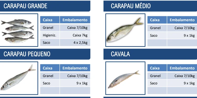 Заморожена риба з Португалії - фото № 3