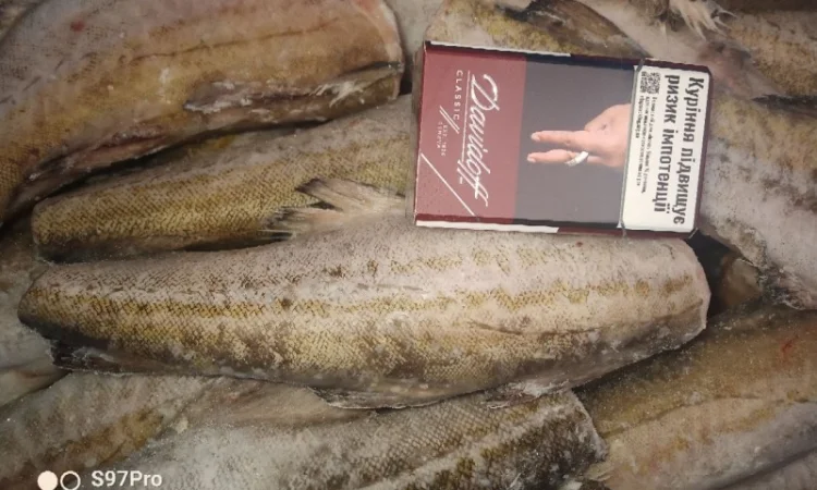 Продажа минтая из Америки - фото № 1