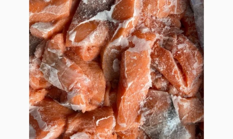 Кусок лосося и разнообразные морепродукты - фото № 1