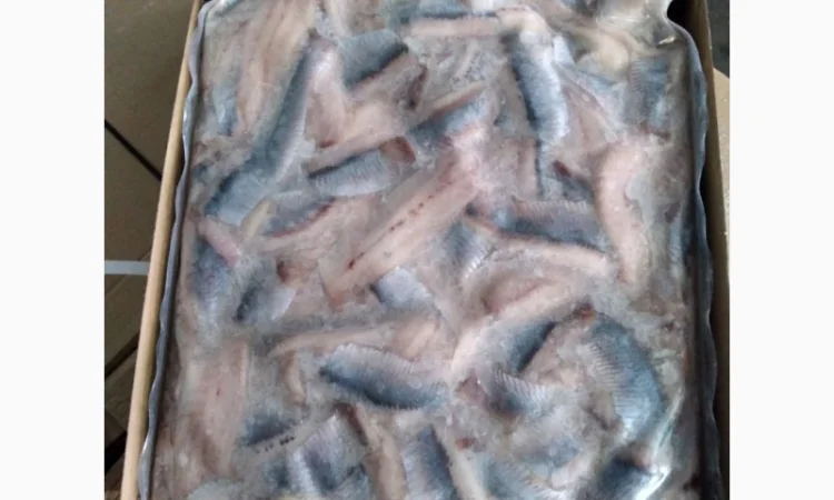 Продается филе сельди от Глобал Норвегия - фото № 1