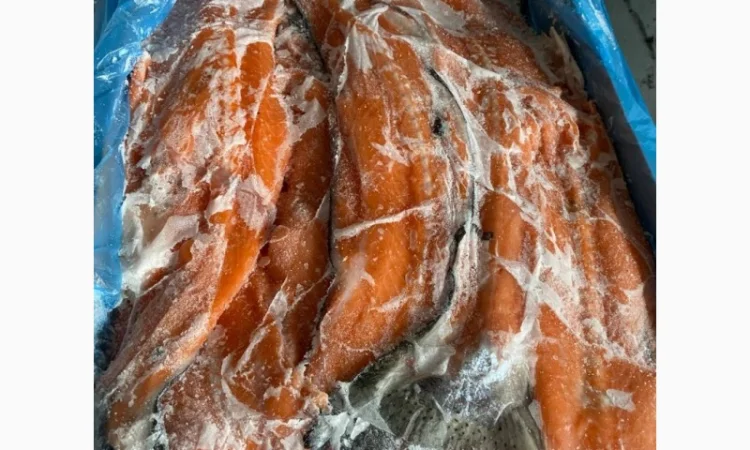 Хребет лосося - фото № 1