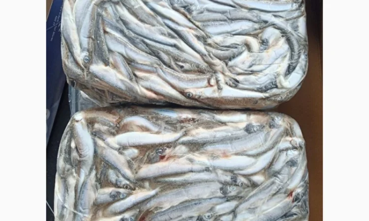 Мойва Норвегія - фото № 1