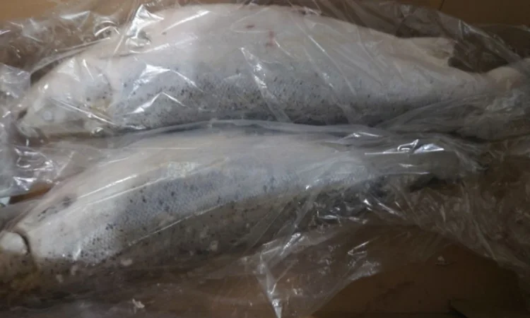 Тушка Лосося Leroy 4-6 - фото № 1