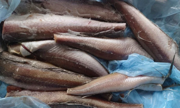 Хек Борнштейн 300-500 - фото № 2