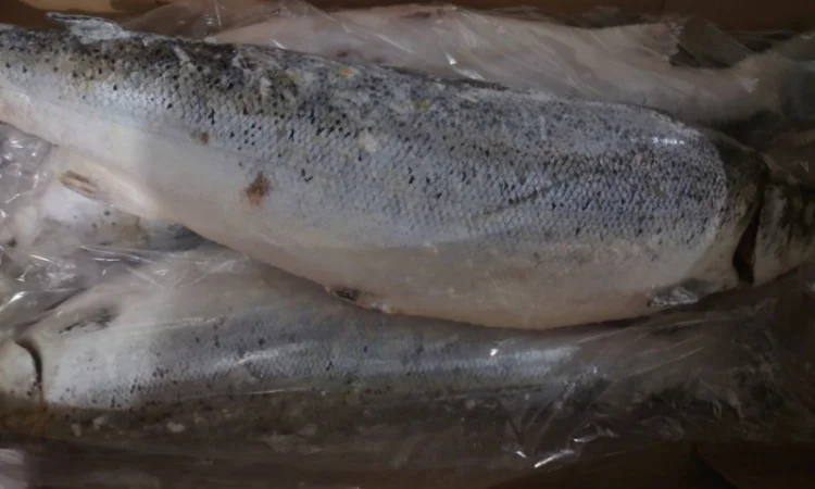 Тушка Лосося Leroy 3-4 - фото № 1