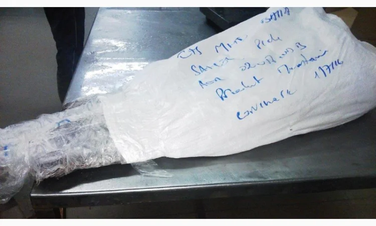 Продажа мороженой пеламиды на борту судна - фото № 12