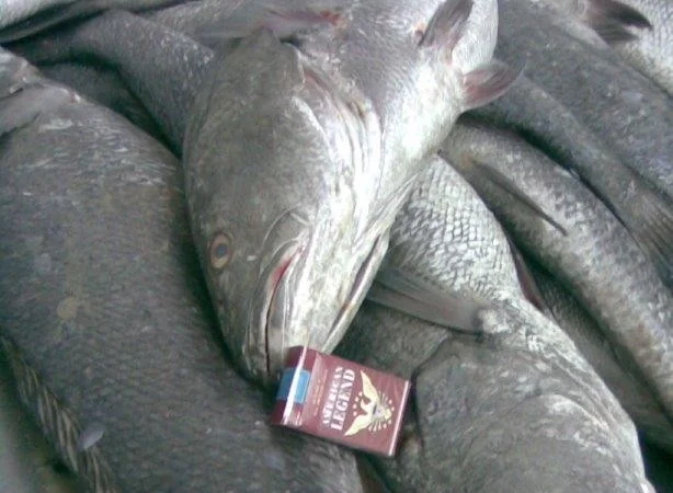 Продажа мороженой пеламиды на борту судна - фото № 11