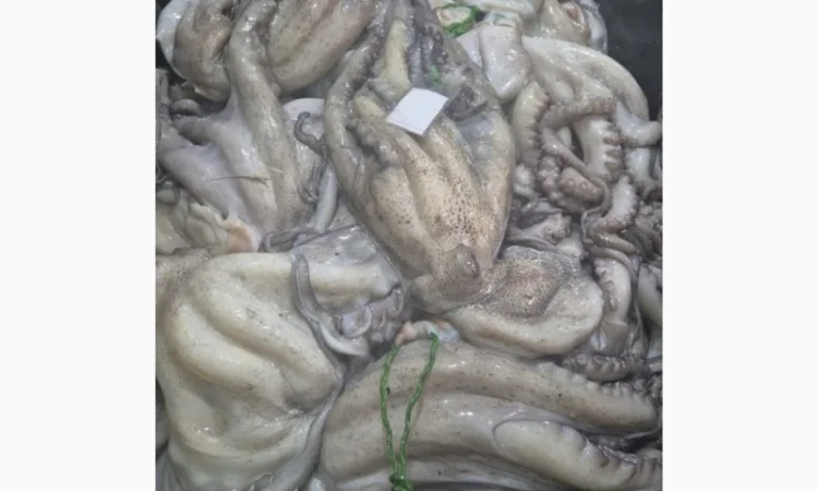 Продажа мороженой пеламиды на борту судна - фото № 9