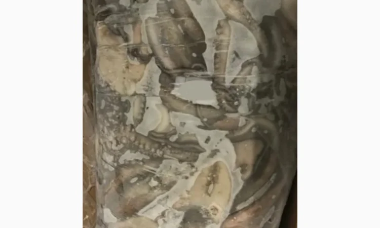 Продажа мороженой пеламиды на борту судна - фото № 8