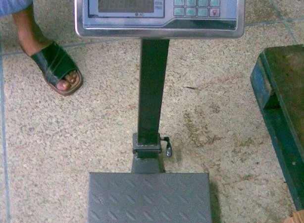 Продажа мороженой пеламиды на борту судна - фото № 19