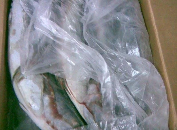 Продажа мороженой пеламиды на борту судна - фото № 1