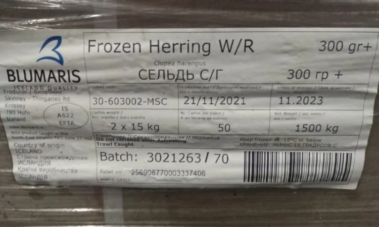 Оселедець 300+ Ісландія - фото № 1