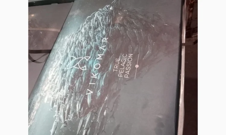 Скумбрія 400-600, Норвегія - фото № 1