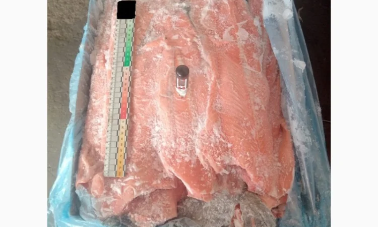 Хребты лосося норвежского - фото № 1