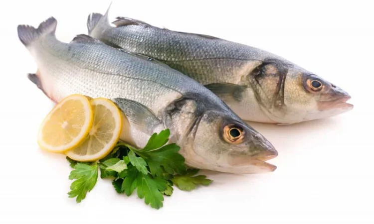 Сибас охлажденный, не потрошеный, с головой - фото № 1