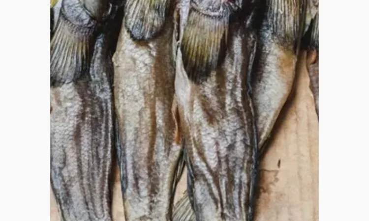 Продам вяленый бычок - фото № 1