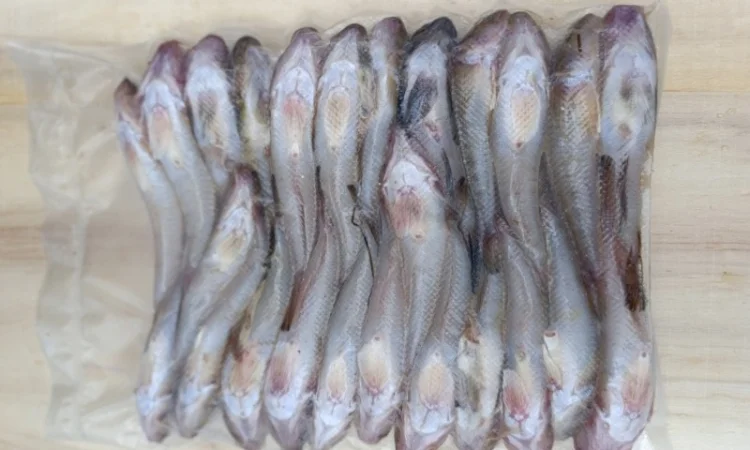 Продам бычок черноморский - фото № 10