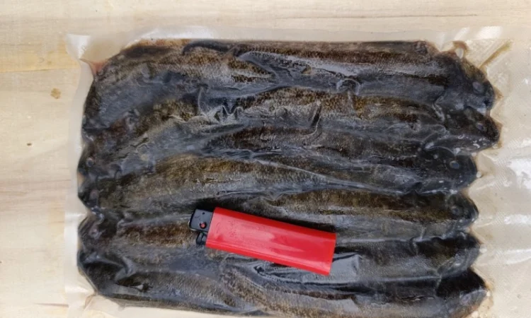 Продам бычок черноморский - фото № 13