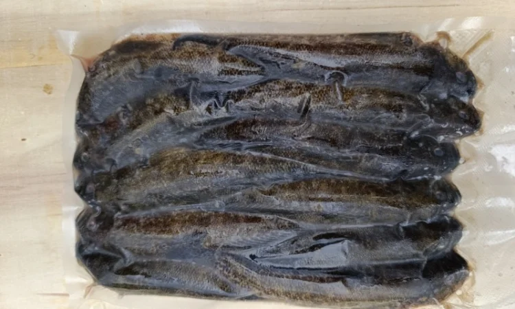 Продам бычок черноморский - фото № 14