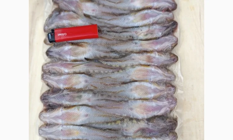 Продам бычок черноморский - фото № 2