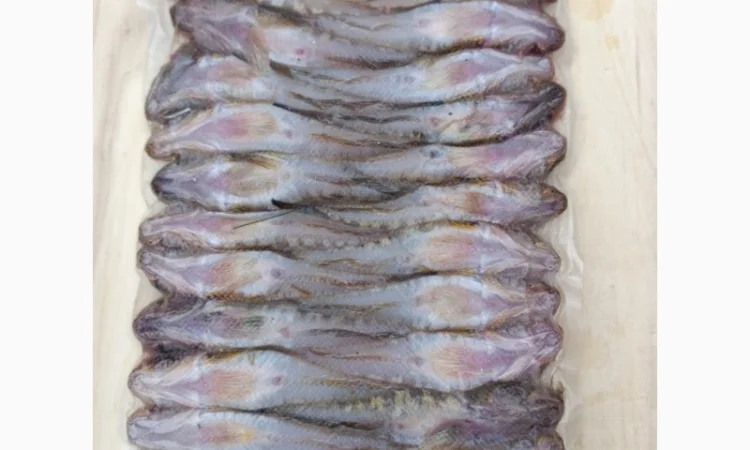 Продам бычок черноморский - фото № 3