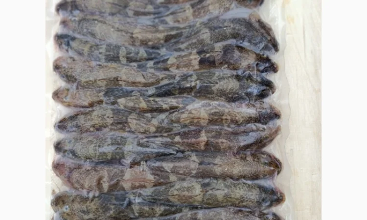 Продам бычок черноморский - фото № 4