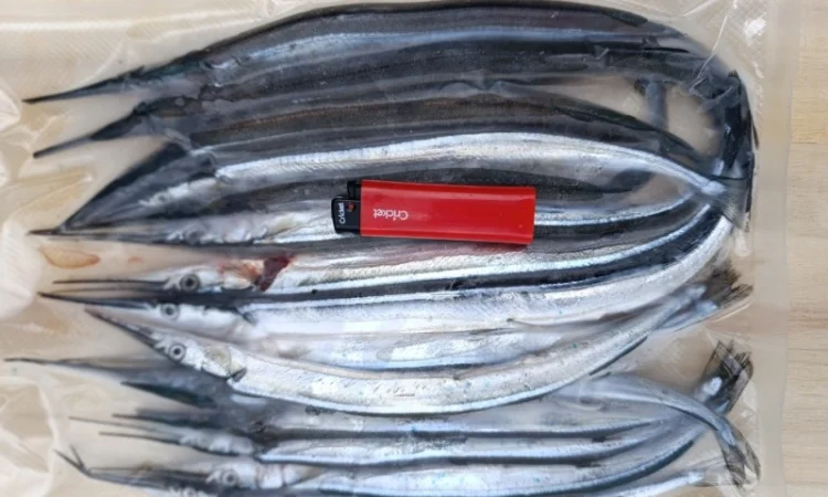 Продам бычок черноморский - фото № 8