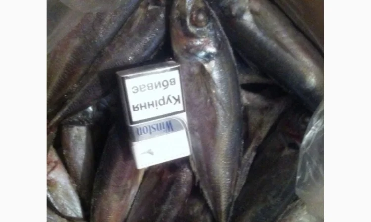 Продаём хек, селёдку, скумбрию и тд - фото № 2