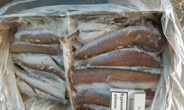 Продаём хек, селёдку, скумбрию и тд - фото № 3