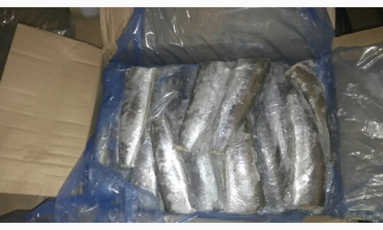 Продаём хек, селёдку, скумбрию и тд - фото № 5