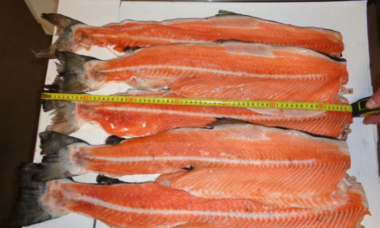 Рыба свежемороженная - фото № 2