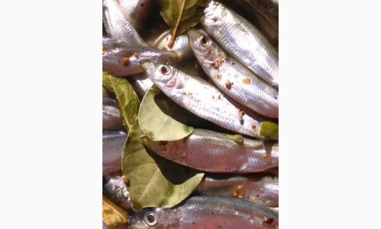 Рыба свежемороженная - фото № 4