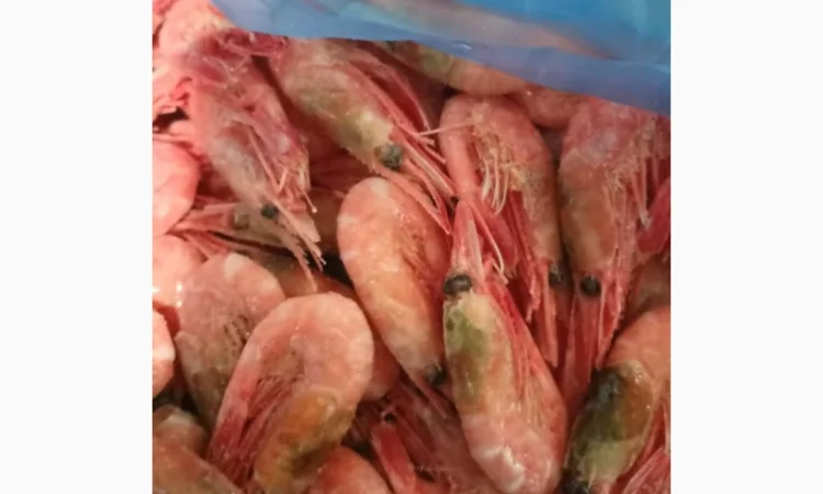 Рыба свежемороженная - фото № 1