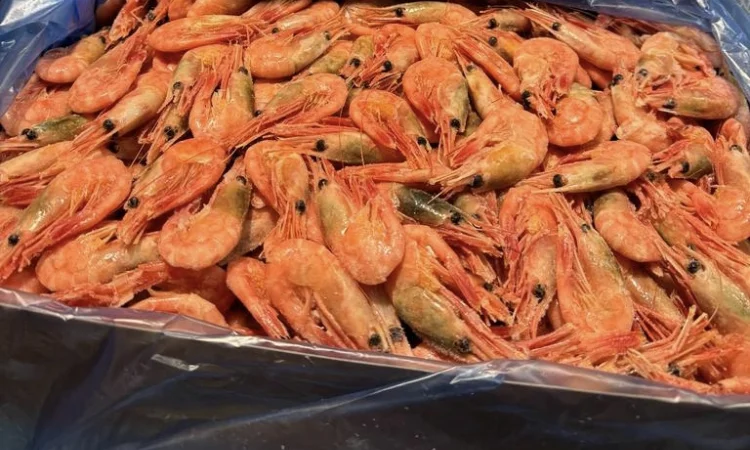 Рыба свежемороженная - фото № 18