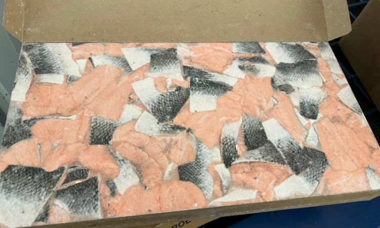 Рыба свежемороженная - фото № 17