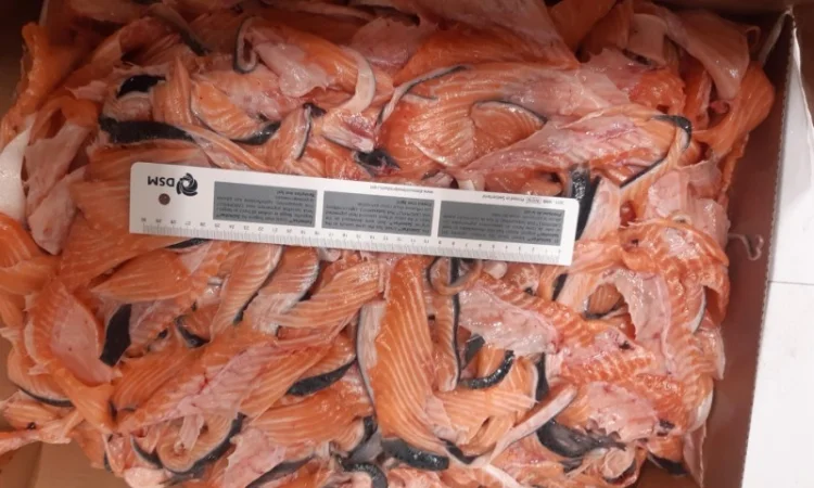 Рыба свежемороженная - фото № 8